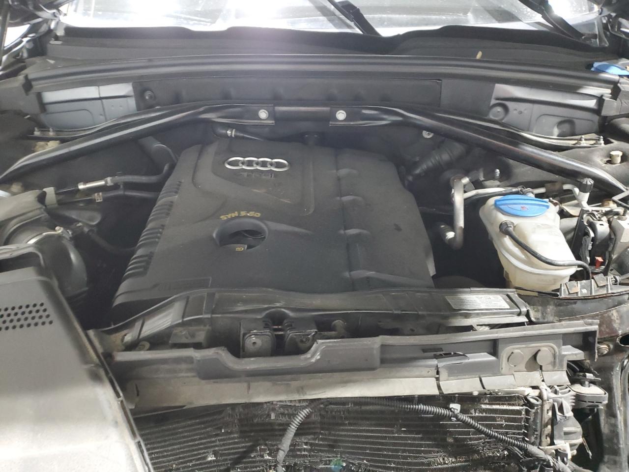 2013 Audi Q5 Premium Plus VIN: WA1LFAFP4DA087711 Lot: 81041215