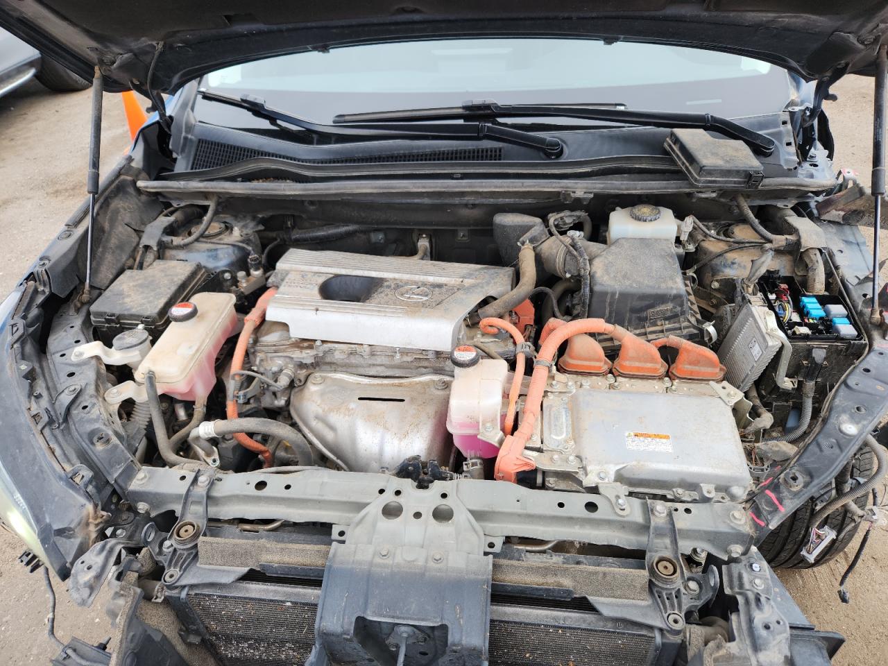 2015 Lexus Nx 300H VIN: JTJBJRBZ1F2013081 Lot: 80146635