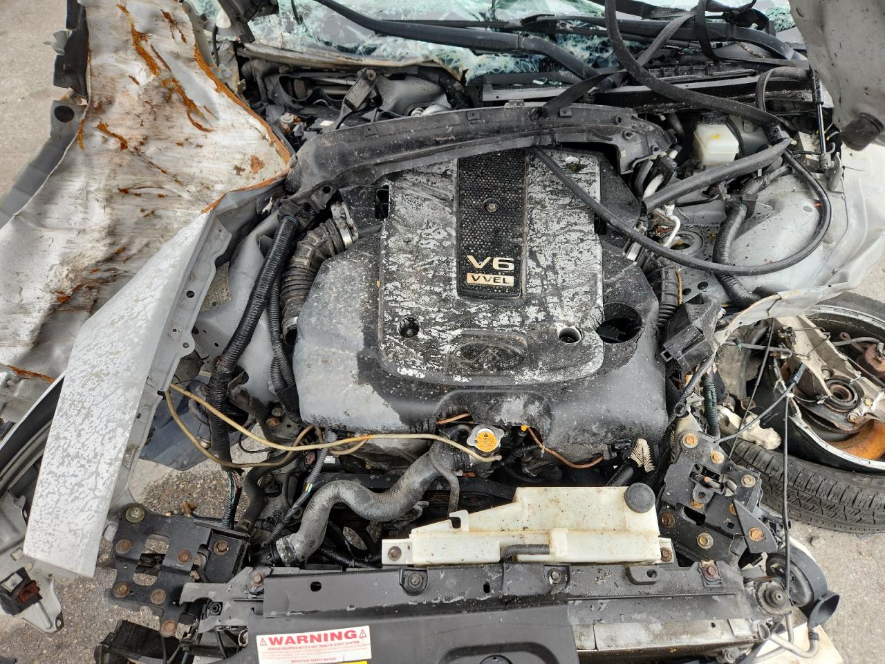 2008 Infiniti G37 Base VIN: JNKCV64EX8M128501 Lot: 81501905