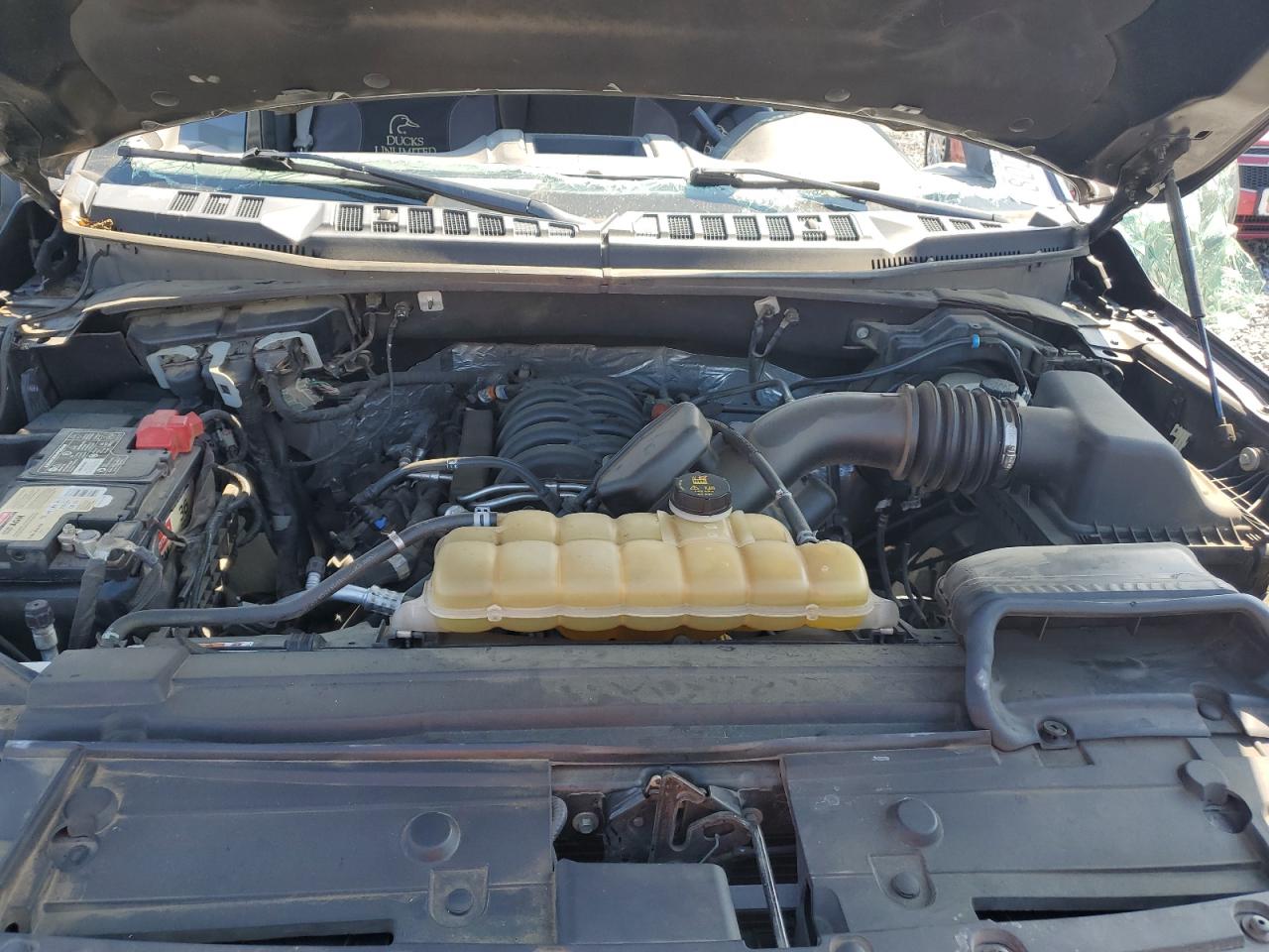 2019 Ford F150 Supercrew VIN: 1FTEW1E53KKC38365 Lot: 80065585