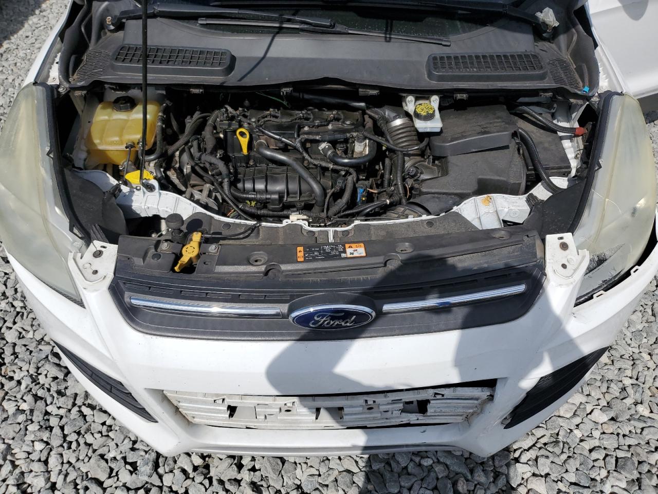 2014 Ford Escape Se VIN: 1FMCU9GX7EUC02614 Lot: 67215905