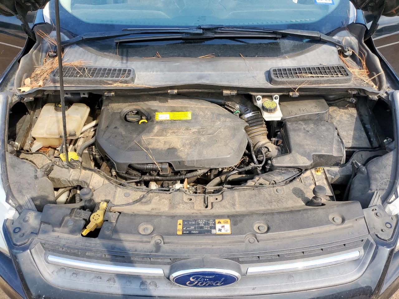 2016 Ford Escape Se VIN: 1FMCU0GX7GUB36807 Lot: 81594415