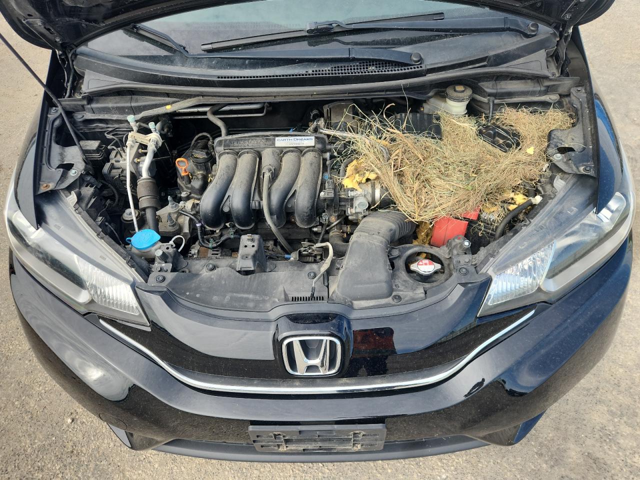 2017 Honda Fit Ex VIN: JHMGK5H83HS002520 Lot: 71975655