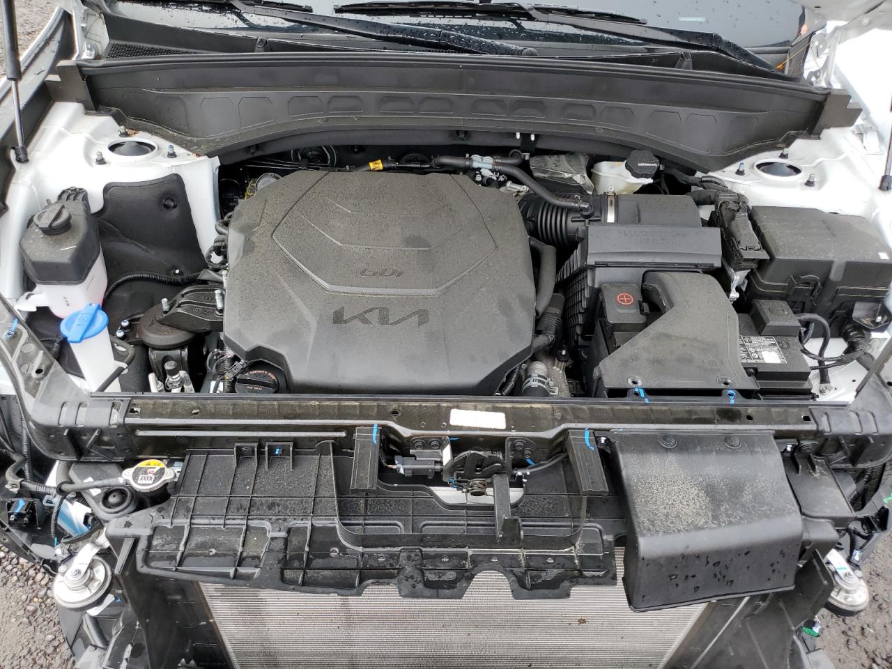 2024 Kia Telluride S VIN: 5XYP6DGC0RG517469 Lot: 81818475