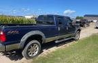 2008 FORD F350 SRW SUPER DUTY   à vendre chez Copart ON - LONDON