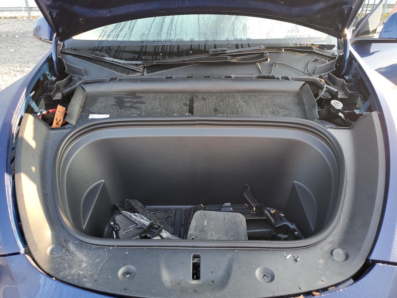 2024 Tesla Model Y VIN: 7SAYGDEE5RF199039 Lot: 71773525