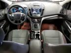 2013 FORD ESCAPE SE for sale at Copart CT - HARTFORD SPRINGFIELD