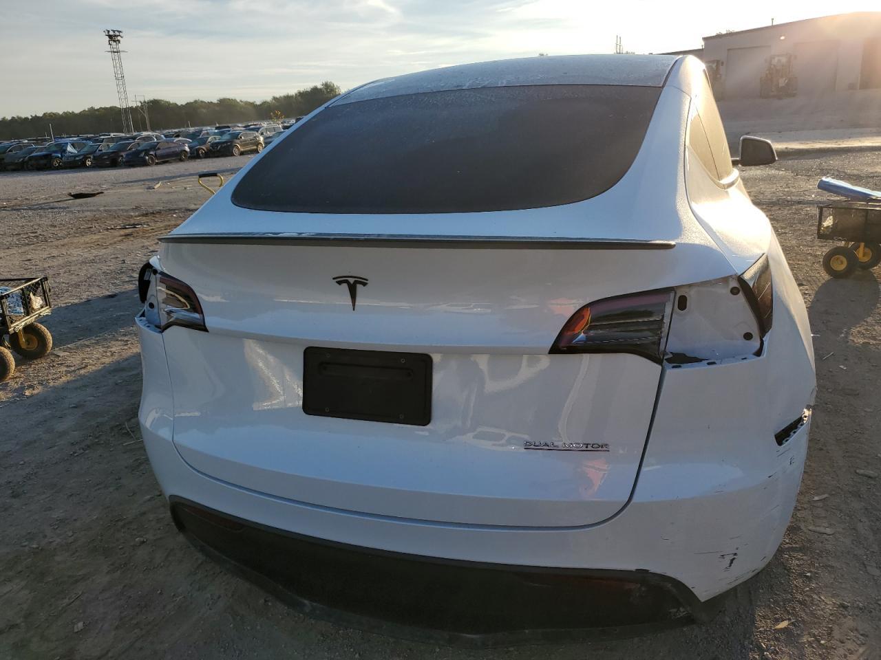 2023 Tesla Model Y VIN: 7SAYGDEF1PF749598 Lot: 84034615