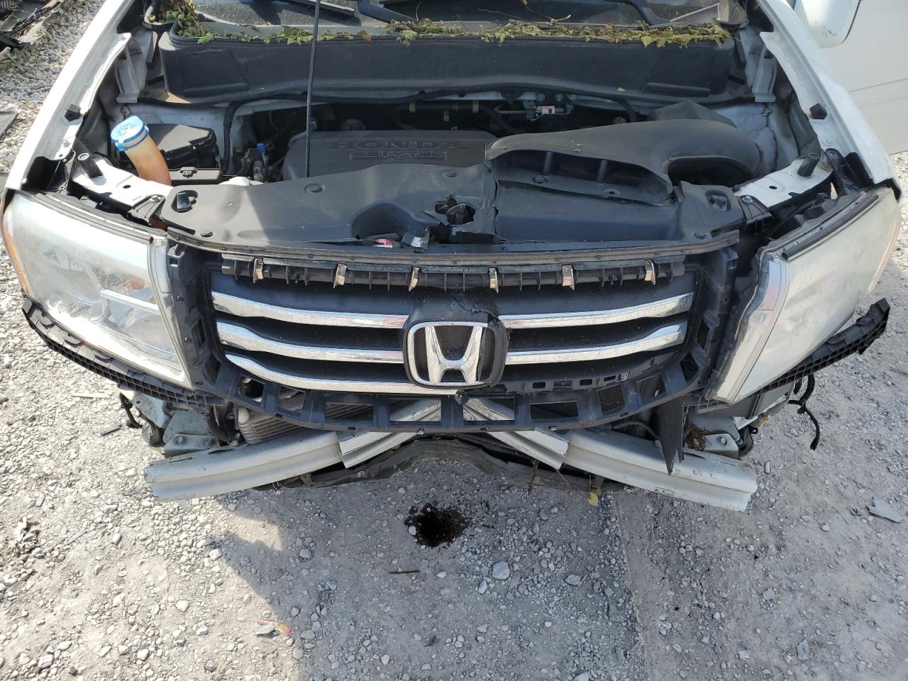 2015 Honda Pilot Exl VIN: 5FNYF4H52FB009723 Lot: 80107365