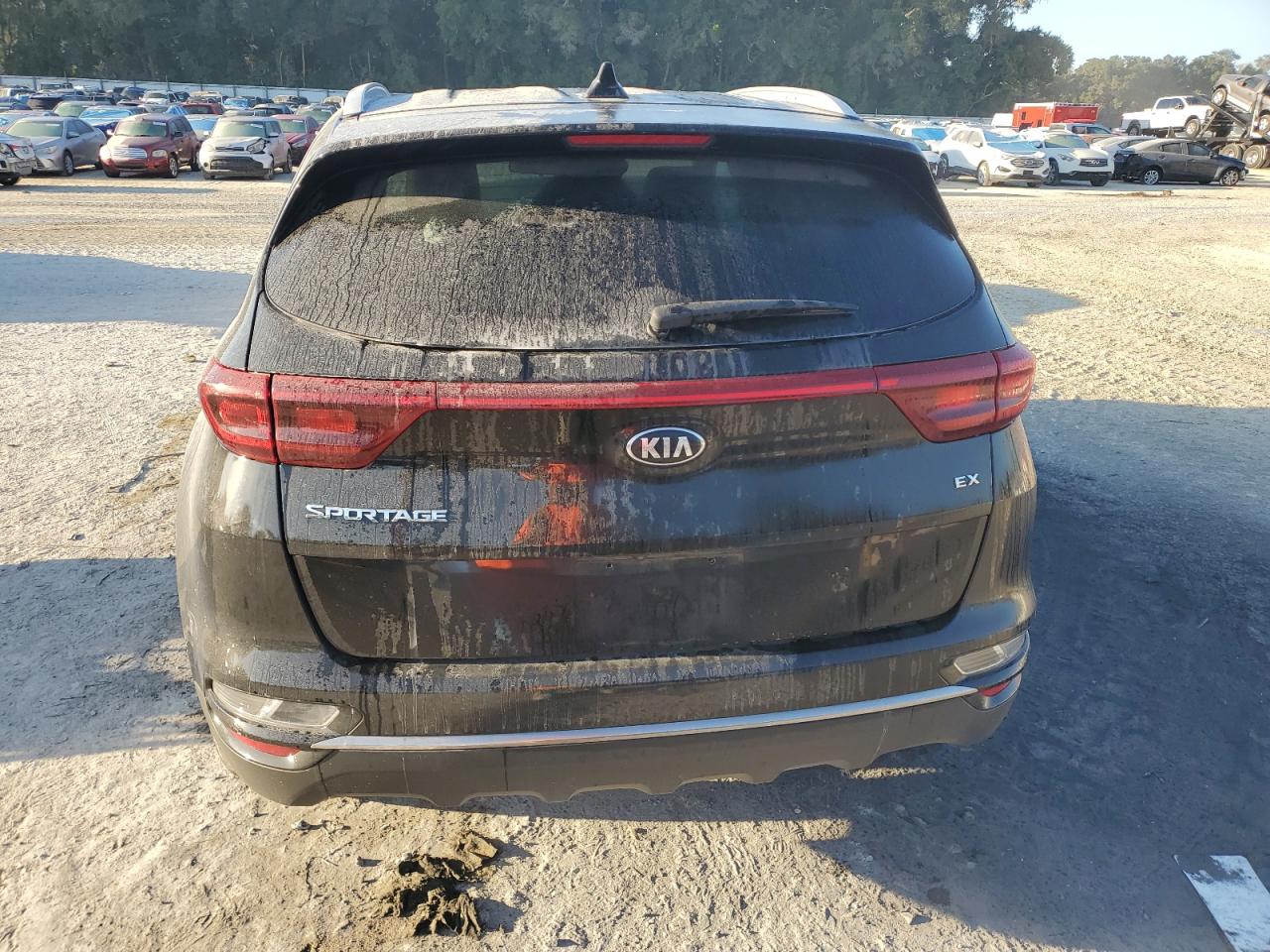 2020 Kia Sportage Ex VIN: KNDPN3AC7L7738786 Lot: 81193165