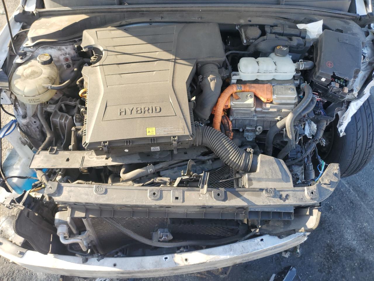 2019 Hyundai Ioniq Blue VIN: KMHC65LC4KU122317 Lot: 81917795