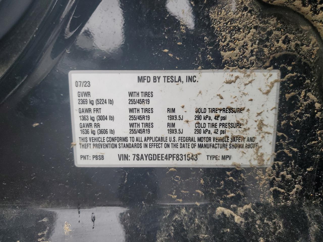 2023 Tesla Model Y VIN: 7SAYGDEE4PF831543 Lot: 81787605