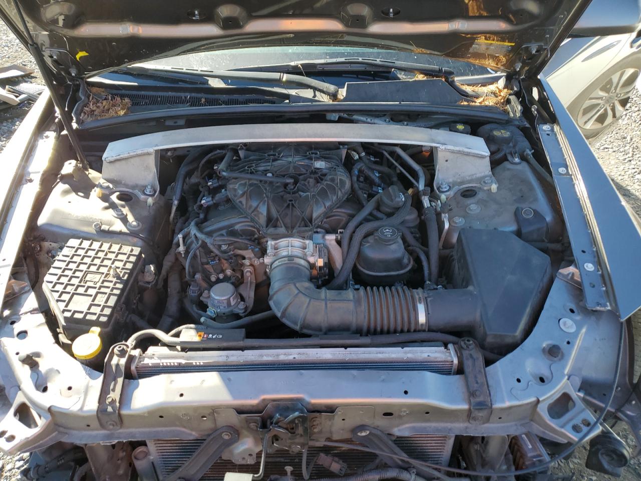 2012 Cadillac Cts Performance Collection VIN: 1G6DM5E30C0126016 Lot: 81252265