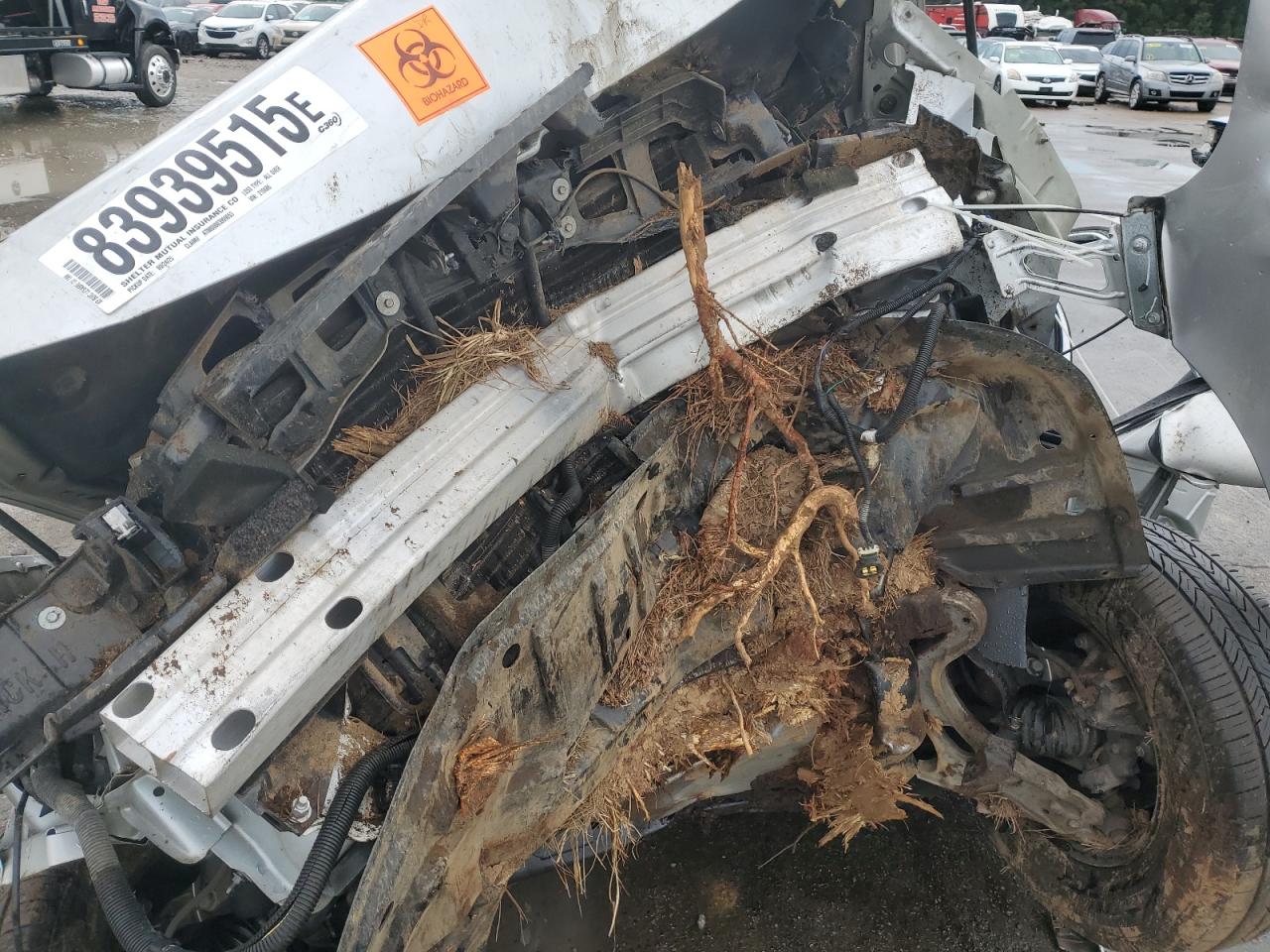 2003 Buick Lesabre Custom VIN: 1G4HP54K03U219606 Lot: 83939515