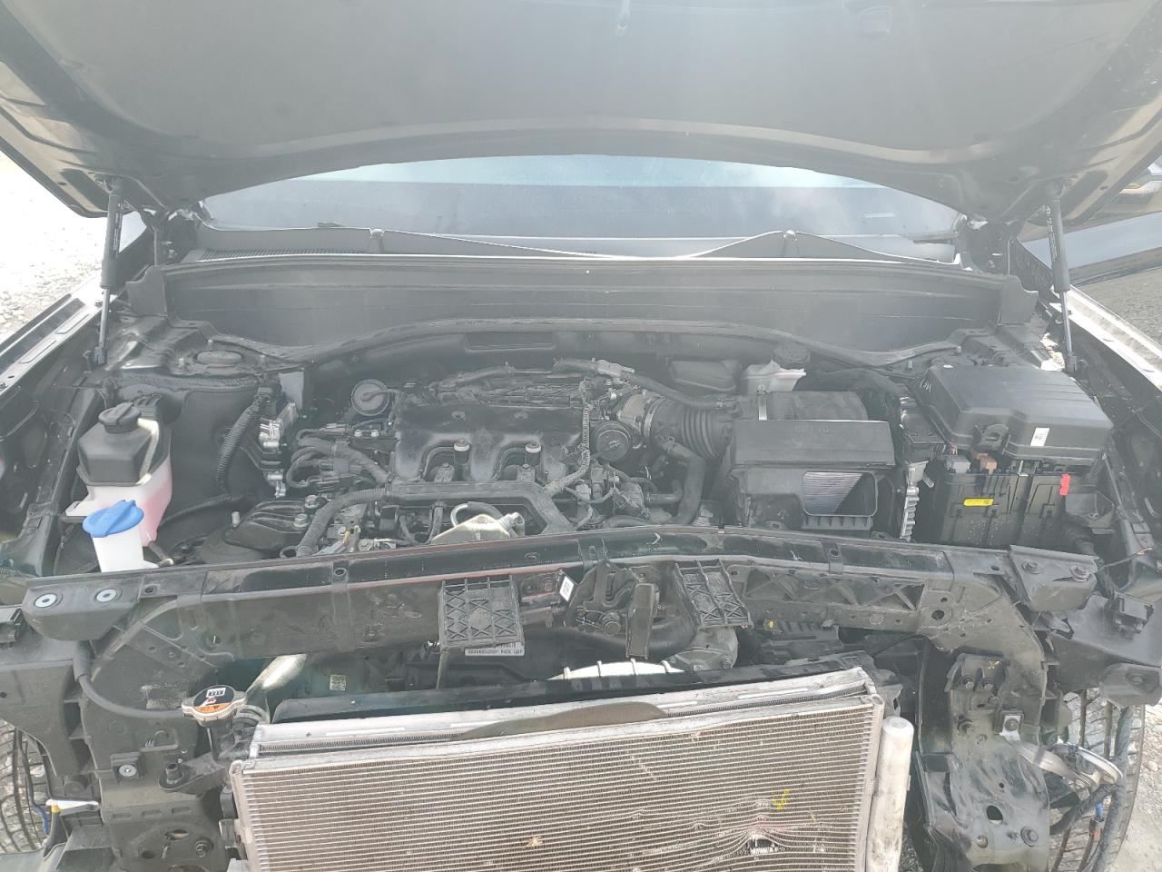 2023 Hyundai Palisade Xrt VIN: KM8R34GE6PU619174 Lot: 70551925