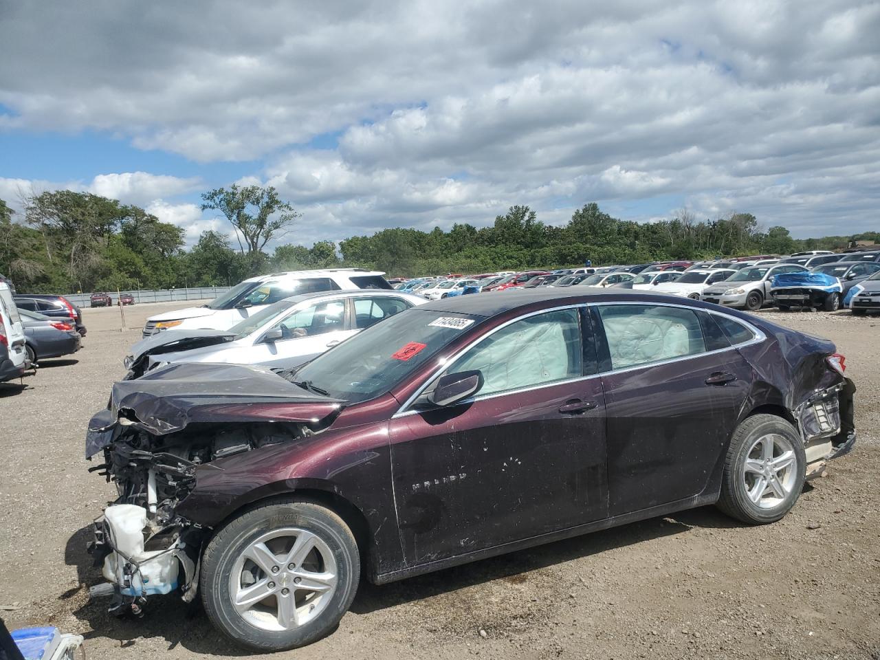 2020 Chevrolet Malibu Fwd 1Fl null sedan gasoline 1G1ZC5ST1LF107295 photo #1