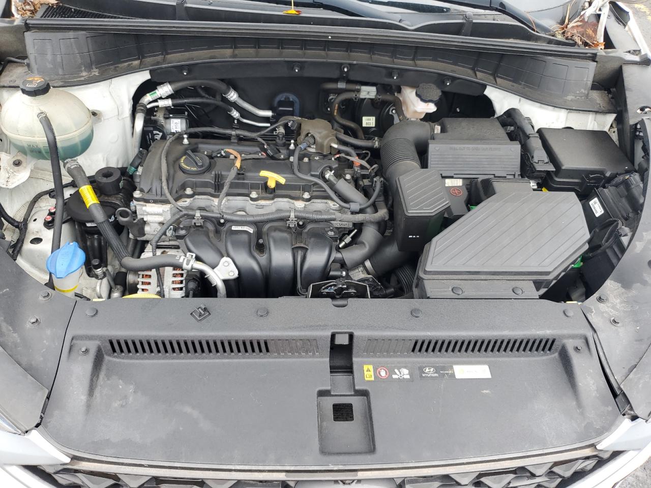 2019 Hyundai Tucson Limited VIN: KM8J3CA47KU034586 Lot: 81860715