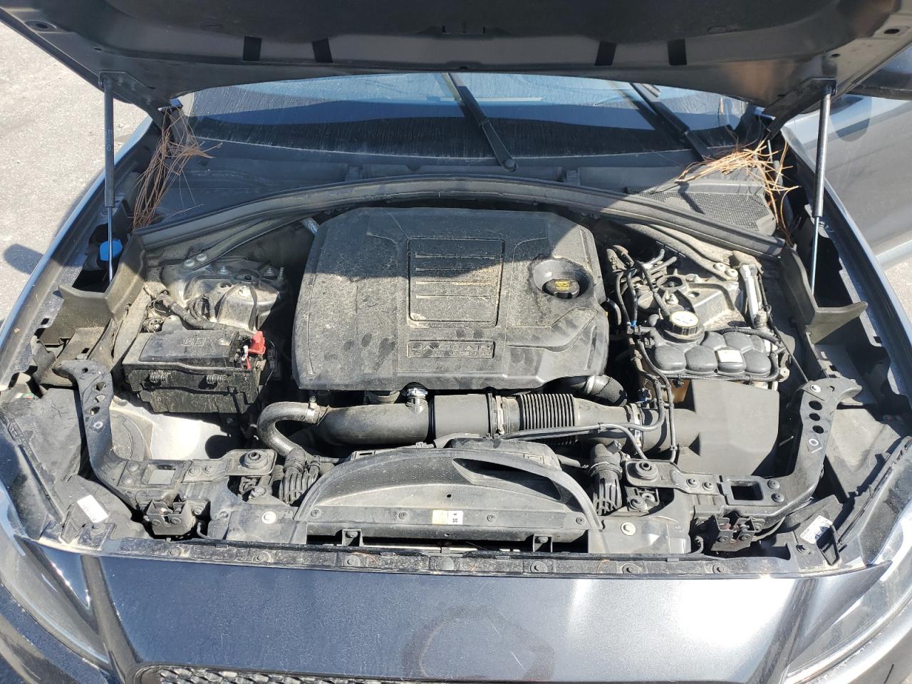 2019 Jaguar F-Pace Prestige VIN: SADCK2FX7KA610664 Lot: 82073085