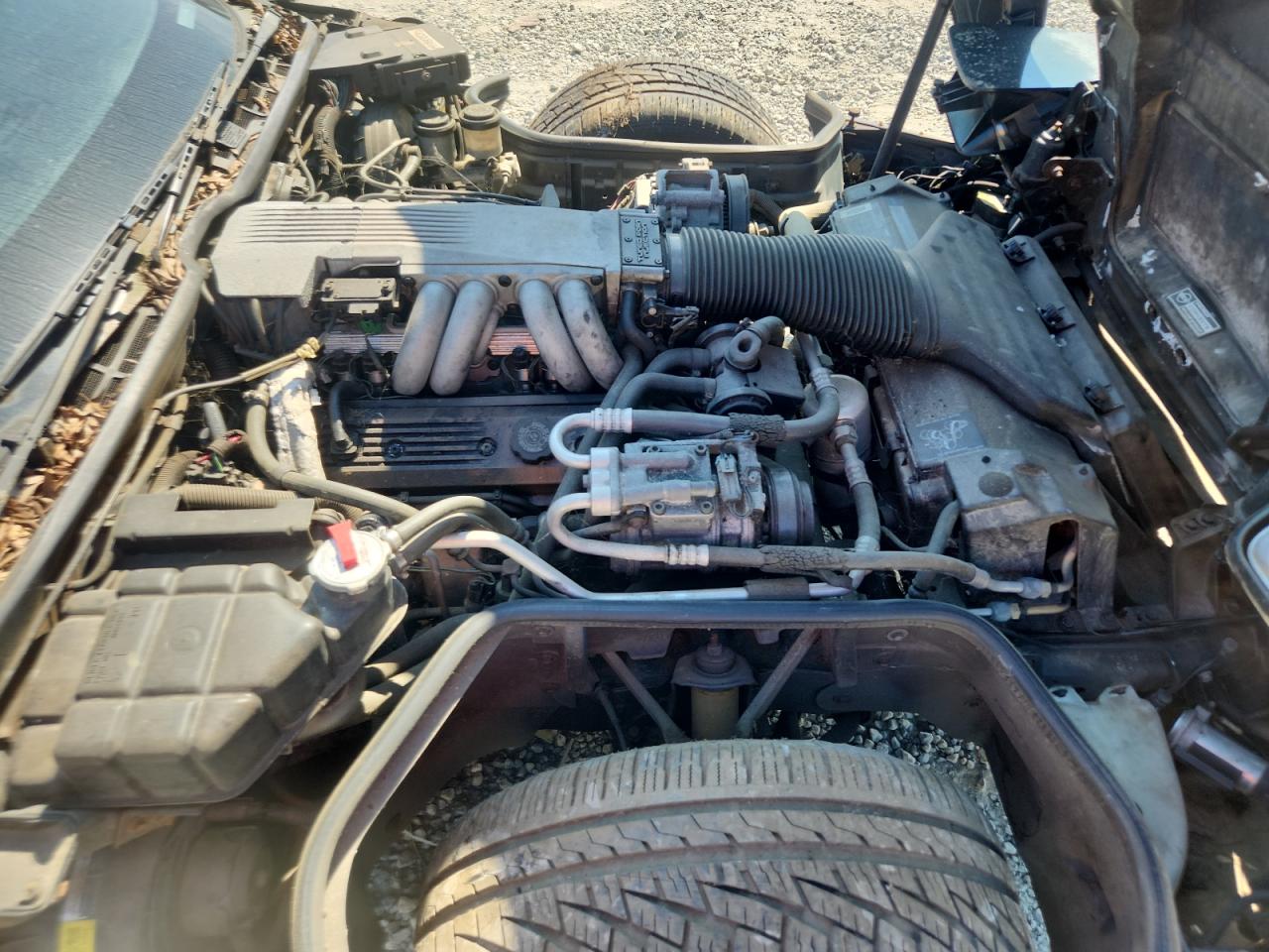 1990 Chevrolet Corvette VIN: 1G1YY2381L5118695 Lot: 70534405