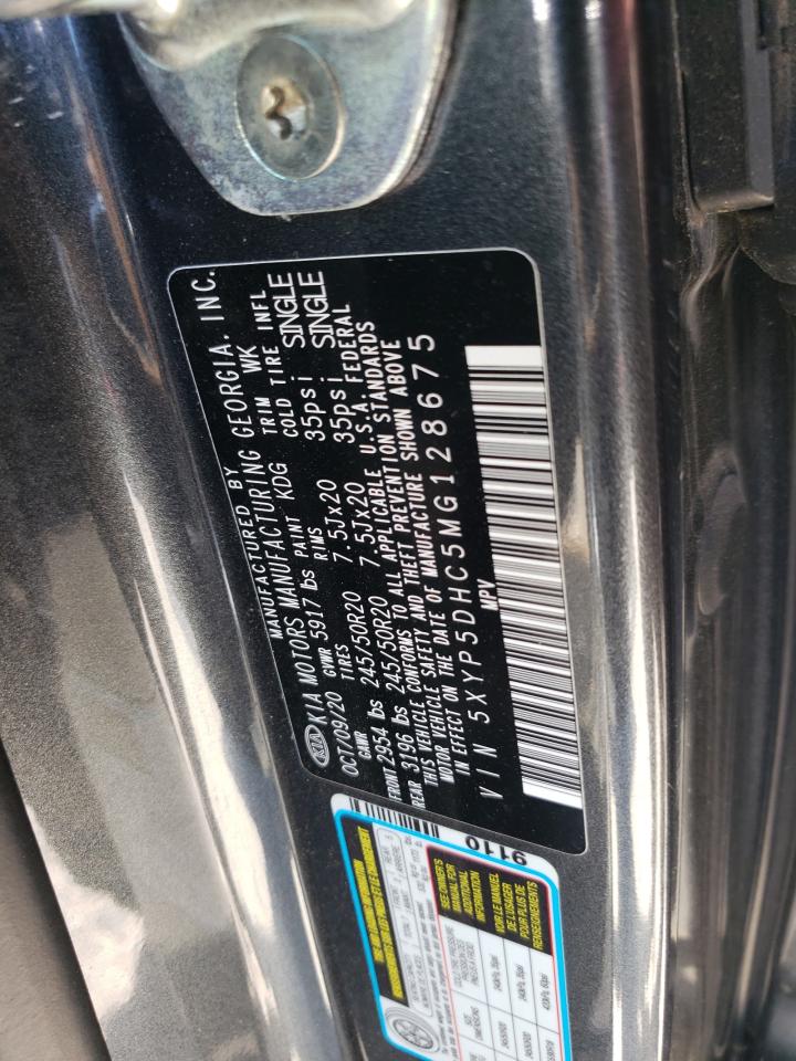 2021 Kia Telluride Sx VIN: 5XYP5DHC5MG128675 Lot: 81132785