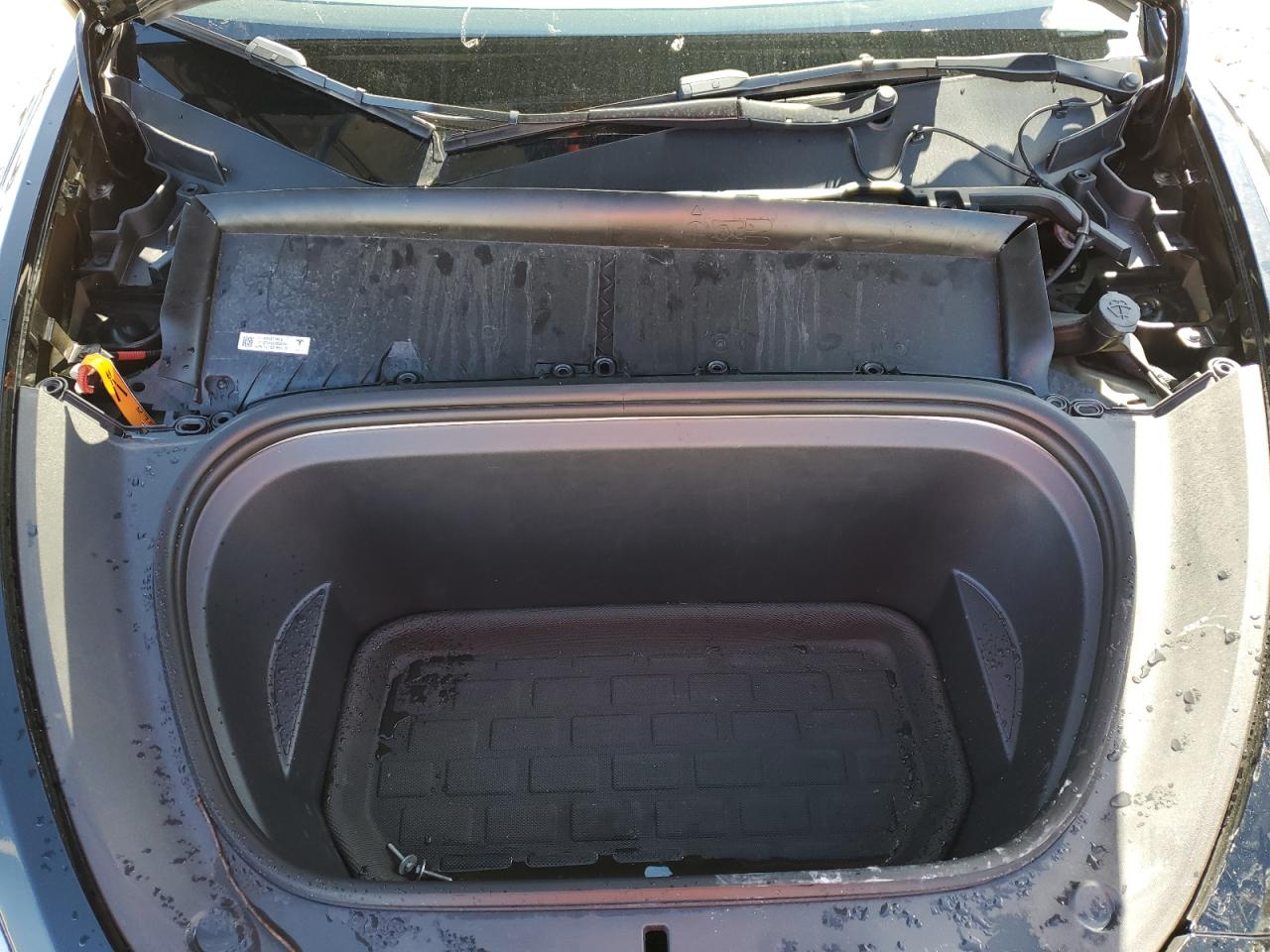 2023 Tesla Model Y VIN: 7SAYGDEF0PF660573 Lot: 80920165