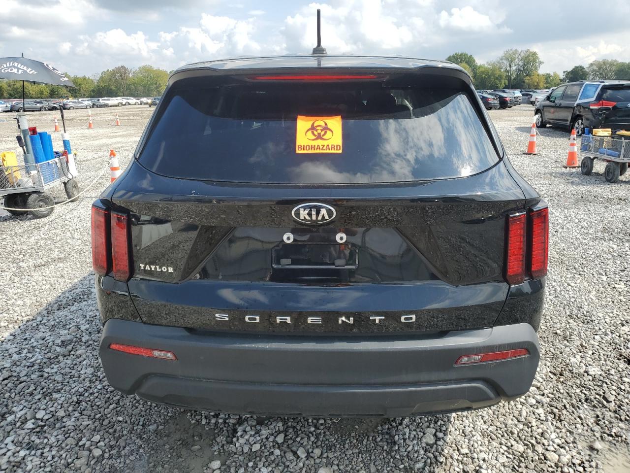 2021 Kia Sorento Lx VIN: 5XYRG4LC5MG068293 Lot: 84059245