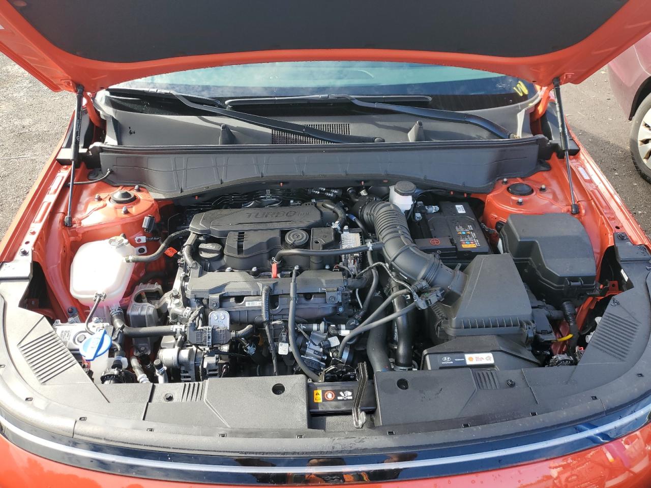 2025 Hyundai Kona Limited VIN: KM8HECA39SU244252 Lot: 81113805