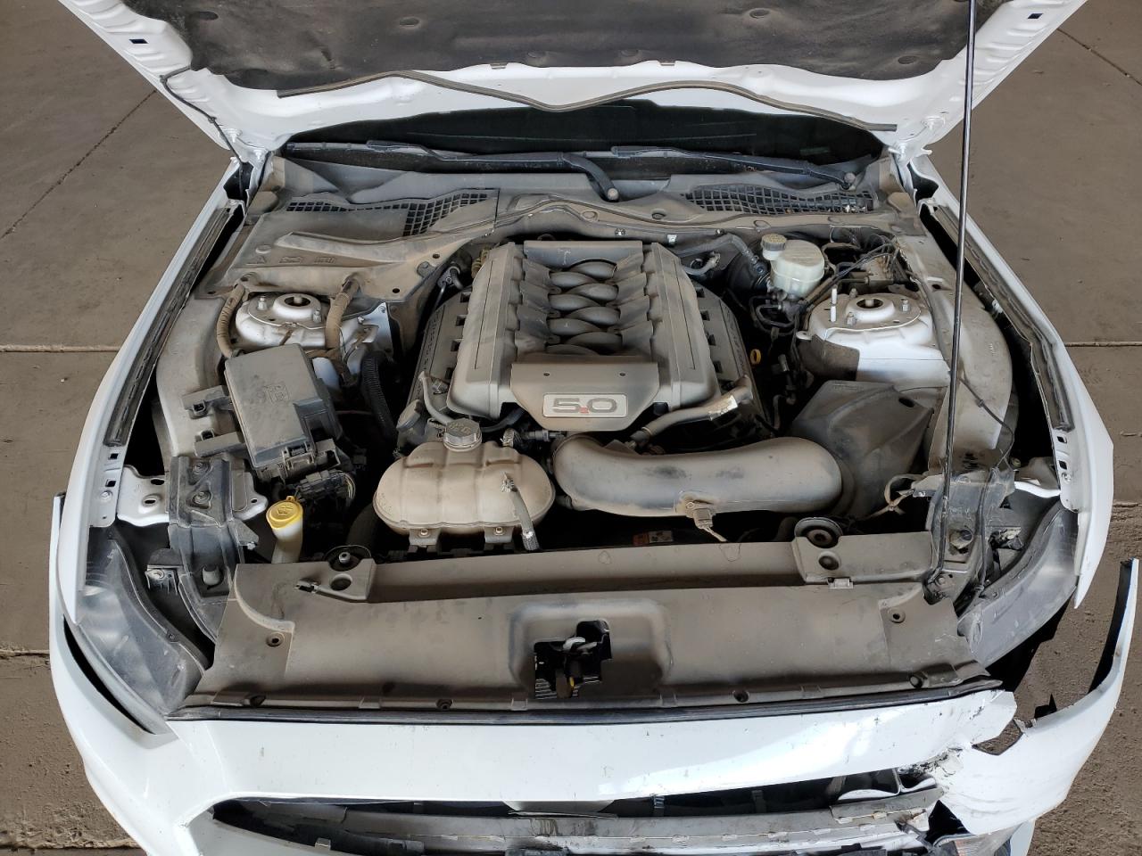 2017 Ford Mustang Gt VIN: 1FA6P8CF8H5320031 Lot: 84209545