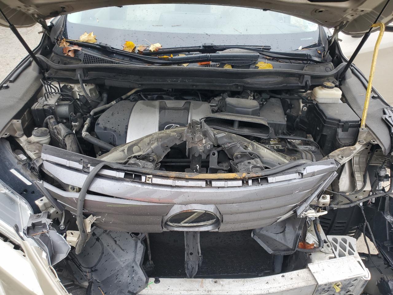 2016 Lexus Rx 350 VIN: 2T2ZZMCA3GC024331 Lot: 82030005