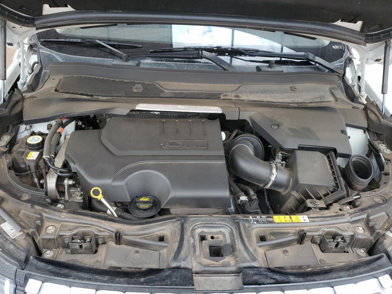 2021 Land Rover Discovery Sport S VIN: SALCJ2FX7MH901084 Lot: 81429955