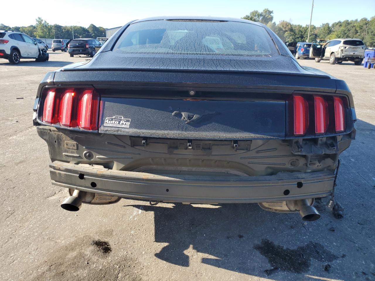 2015 Ford Mustang VIN: 1FA6P8TH3F5416891 Lot: 80433255