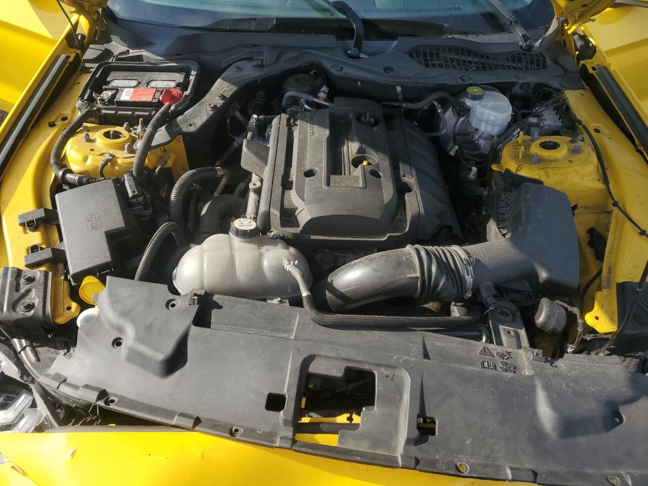 2018 Ford Mustang VIN: 1FA6P8TH0J5171394 Lot: 71993005