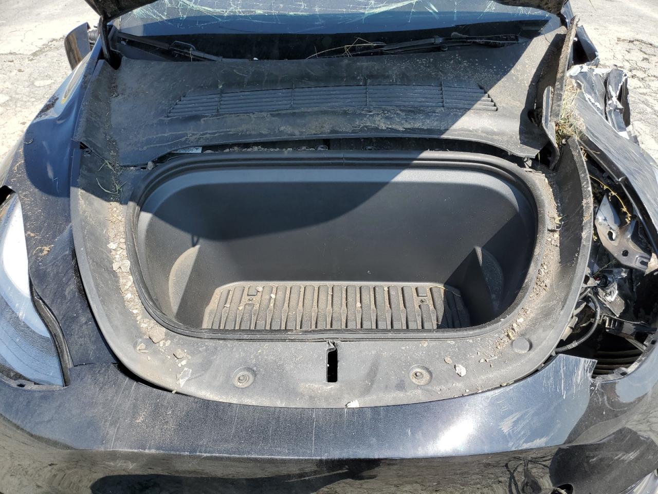 2024 Tesla Model Y VIN: 7SAYGDED6RF206541 Lot: 81378765