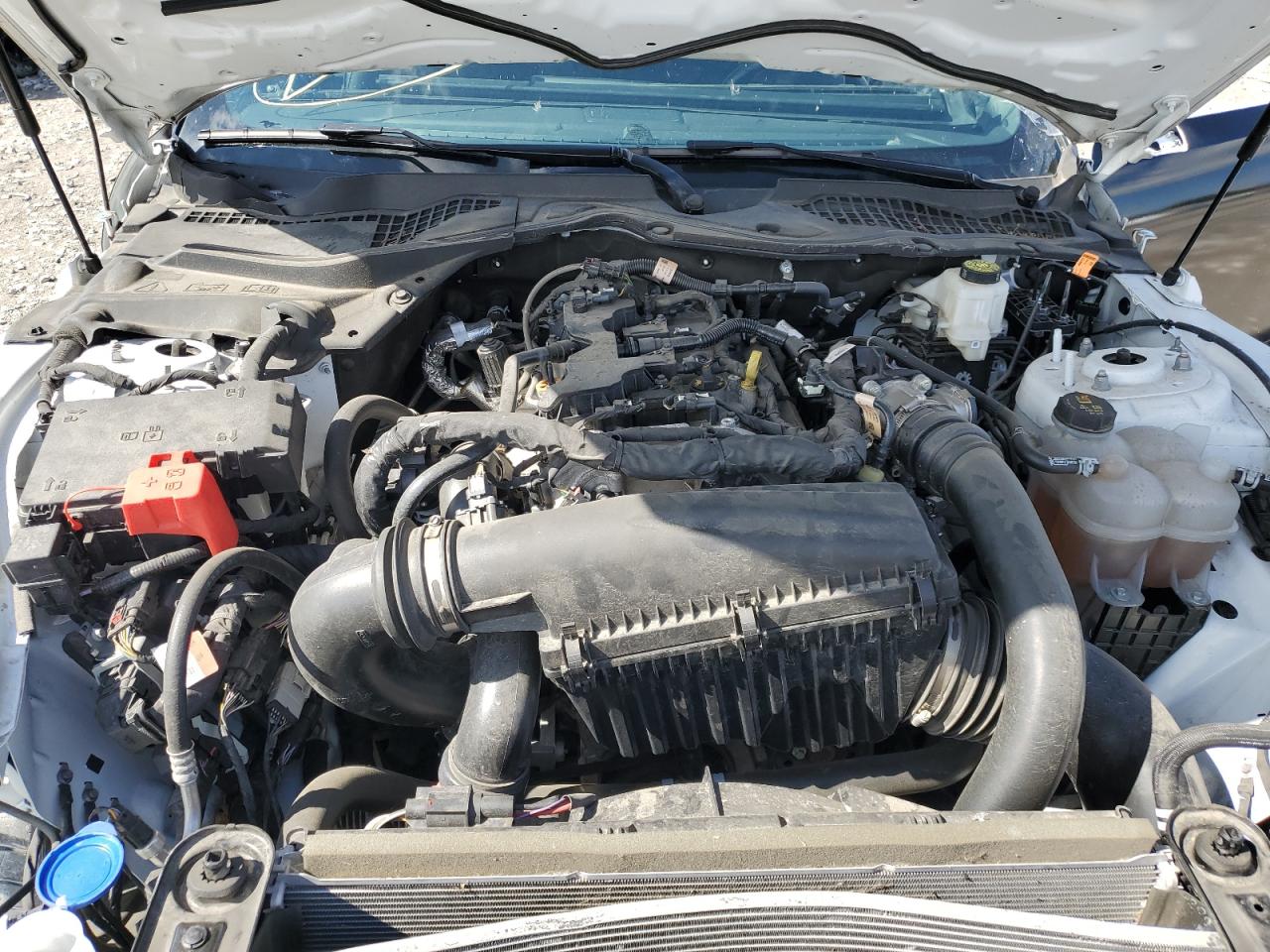 2024 Ford Mustang VIN: 1FA6P8TH7R5102973 Lot: 83785375