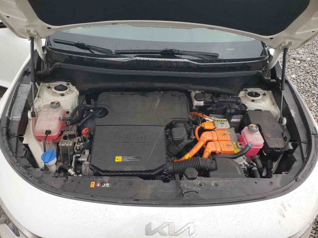 2023 Kia Niro Ex VIN: KNDCR3LE7P5042352 Lot: 81801095