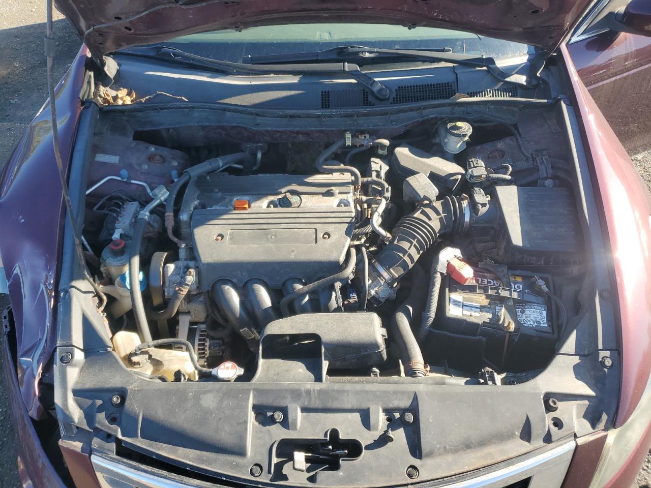 2009 Honda Accord Lxp VIN: 1HGCP26439A188570 Lot: 67895355