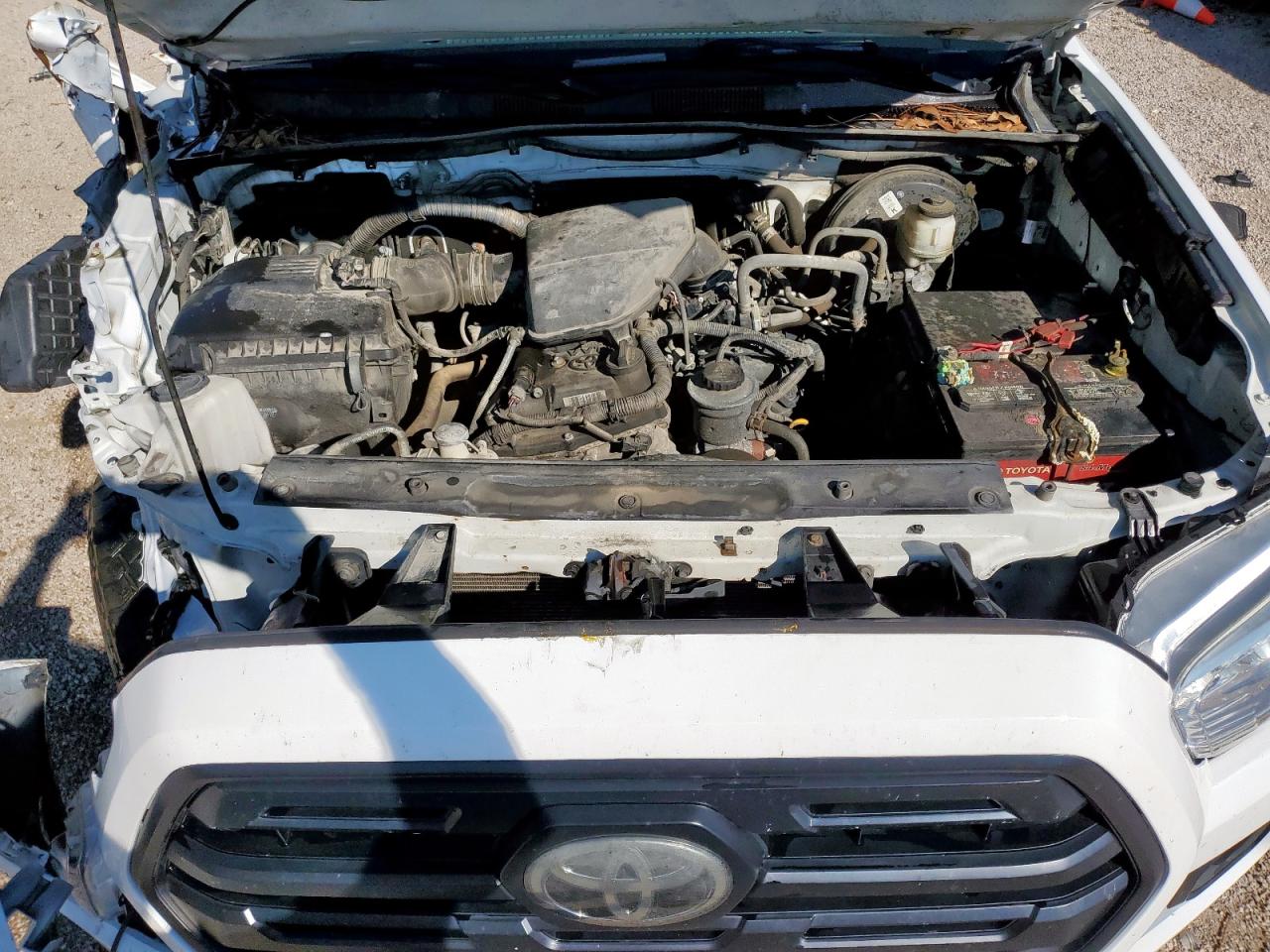 2019 Toyota Tacoma Double Cab VIN: 5TFAX5GN0KX164566 Lot: 81480065