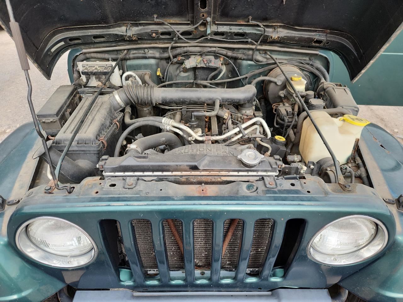 2001 Jeep Wrangler / Tj Sahara VIN: 1J4FA59S31P324555 Lot: 84462425