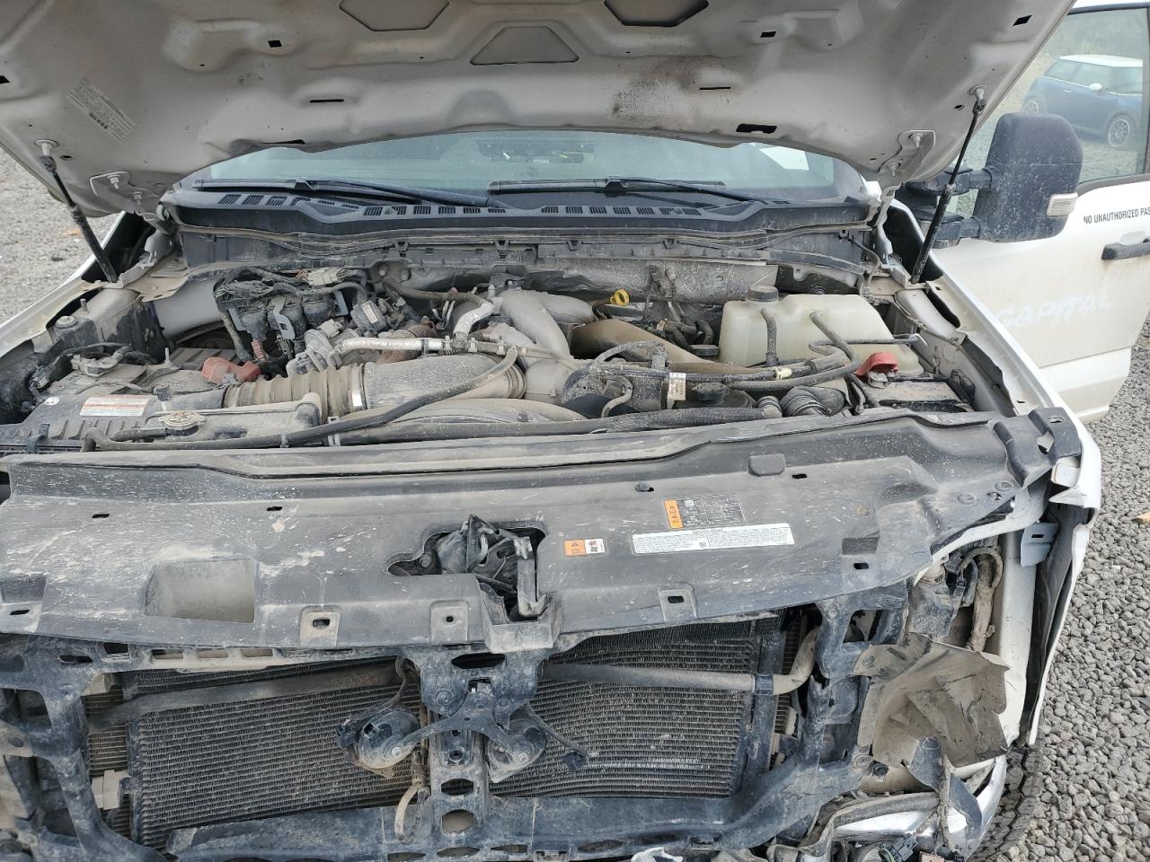 2024 Ford F250 Super Duty VIN: 1FT7W2BT6REC99803 Lot: 69928345