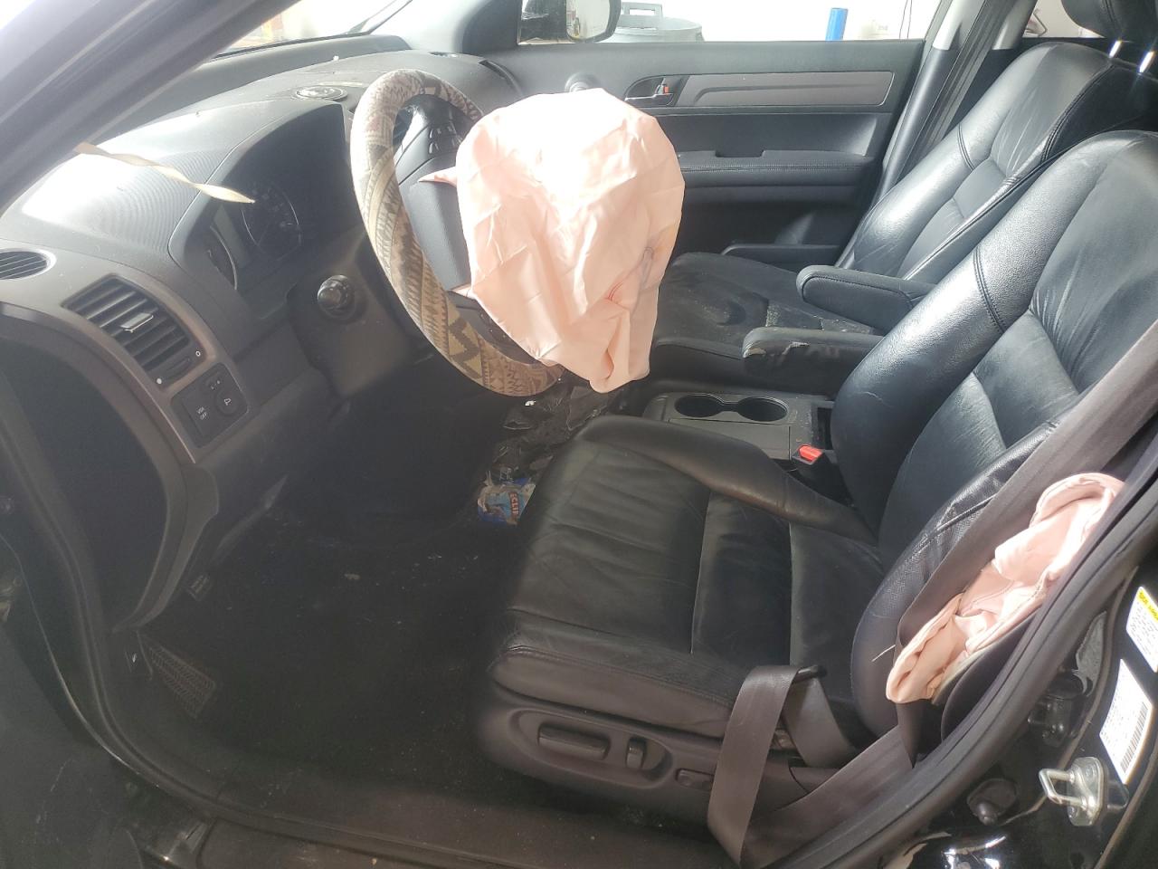 2009 Honda Cr-V Exl VIN: JHLRE48709C006056 Lot: 81475955