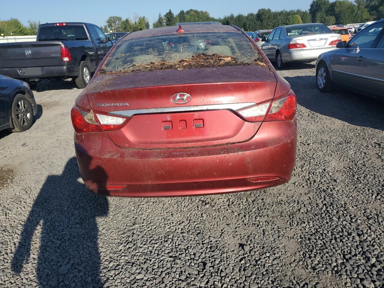 2013 Hyundai Sonata Gls VIN: 5NPEB4AC8DH523663 Lot: 81693725