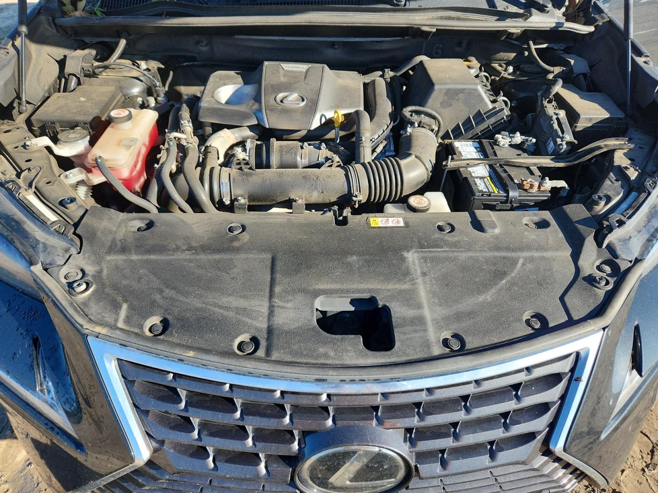 2020 Lexus Nx 300 VIN: JTJGARBZ9L5012955 Lot: 84235365