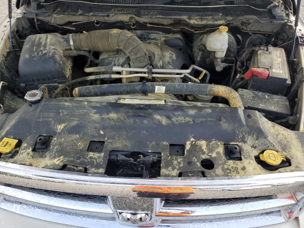 2010 Dodge Ram 1500 VIN: 1D7RV1GT8AS259989 Lot: 71622335