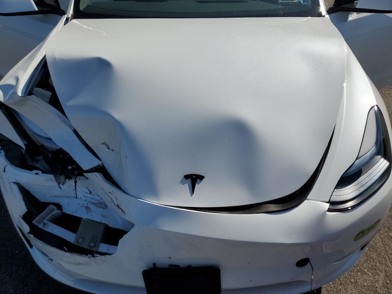 2024 Tesla Model Y VIN: 7SAYGDEE3RF199525 Lot: 80076345