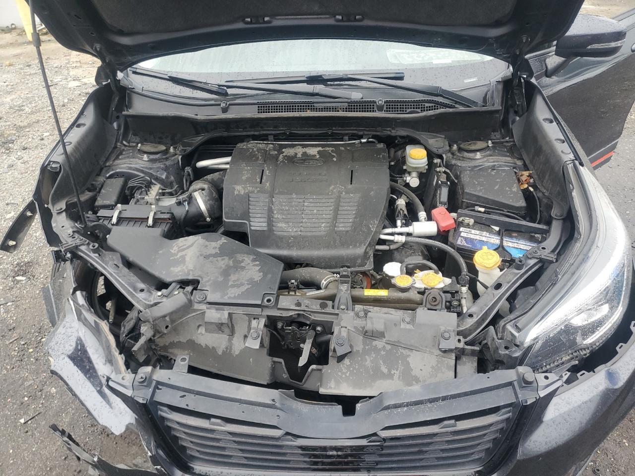 2019 Subaru Forester Sport VIN: JF2SKAPC9KH584557 Lot: 81908795