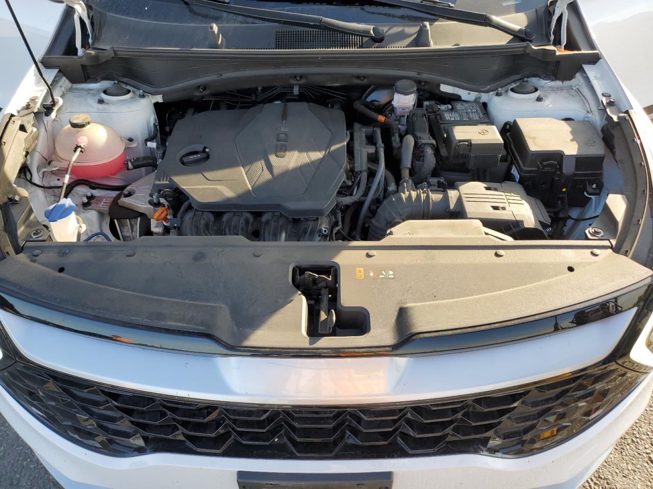 2023 Kia Sportage Ex VIN: 5XYK33AF4PG105066 Lot: 80964125