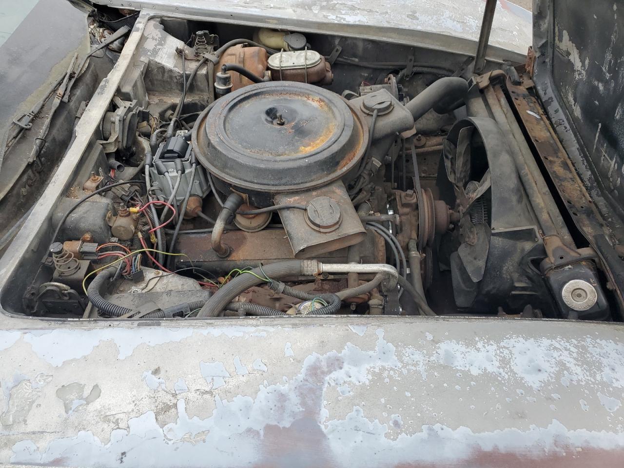 1979 Chevrolet Corvette VIN: 1Z8789S405418 Lot: 81490835