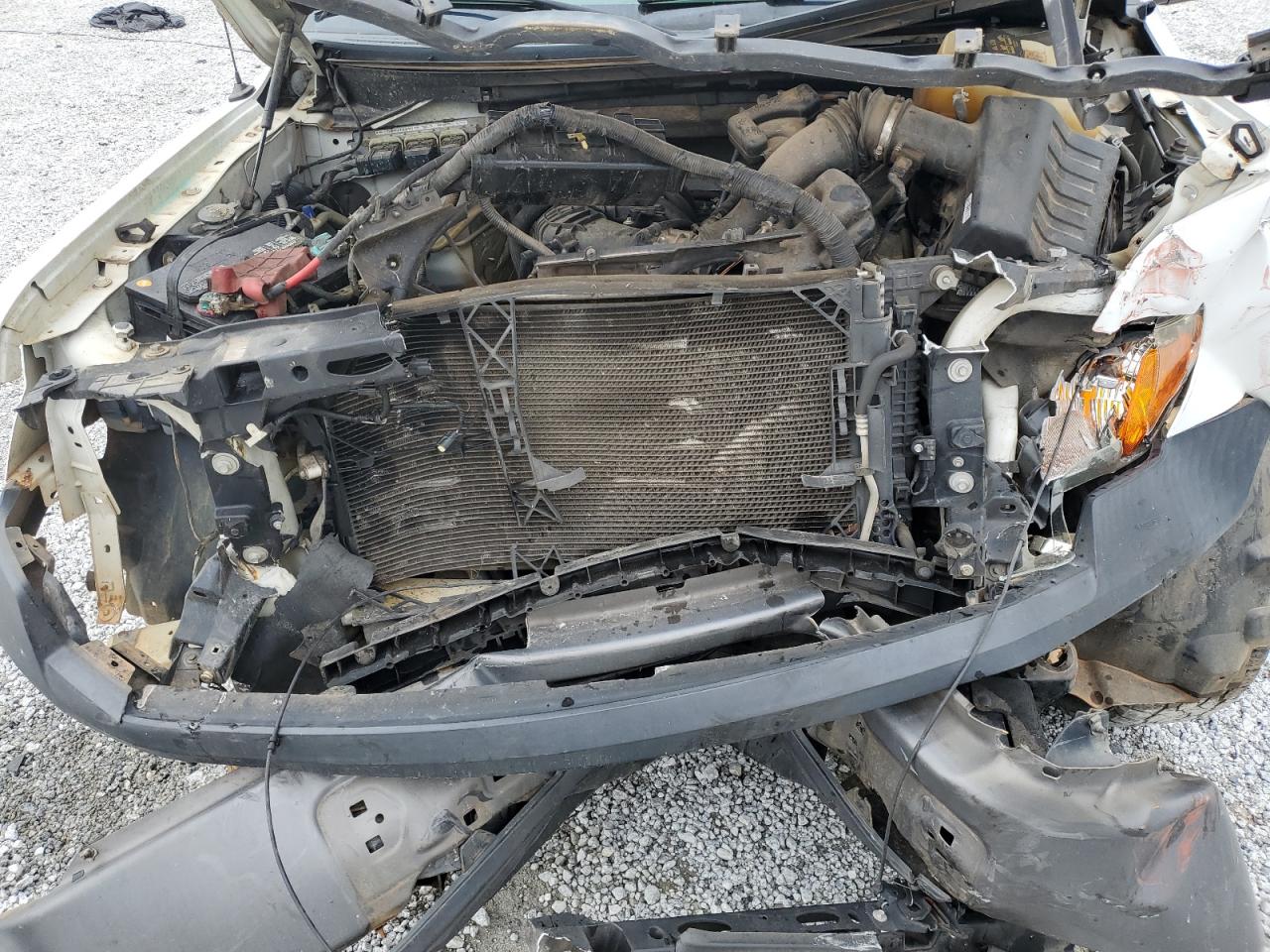 2014 Ford F150 VIN: 1FTMF1CM9EKD92685 Lot: 81748295