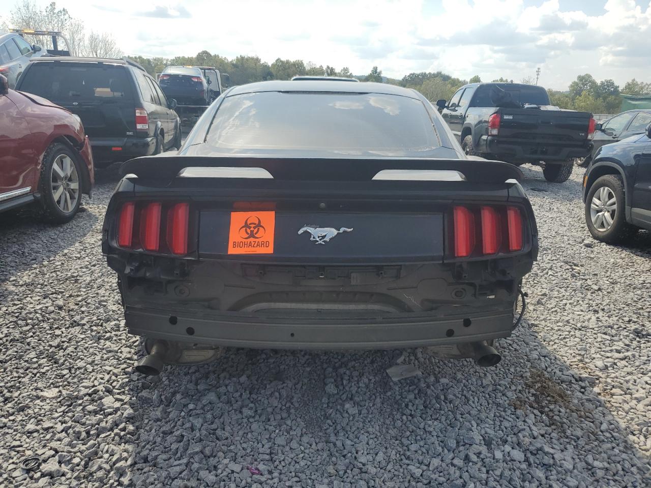 2017 Ford Mustang VIN: 1FA6P8TH6H5343115 Lot: 81232675