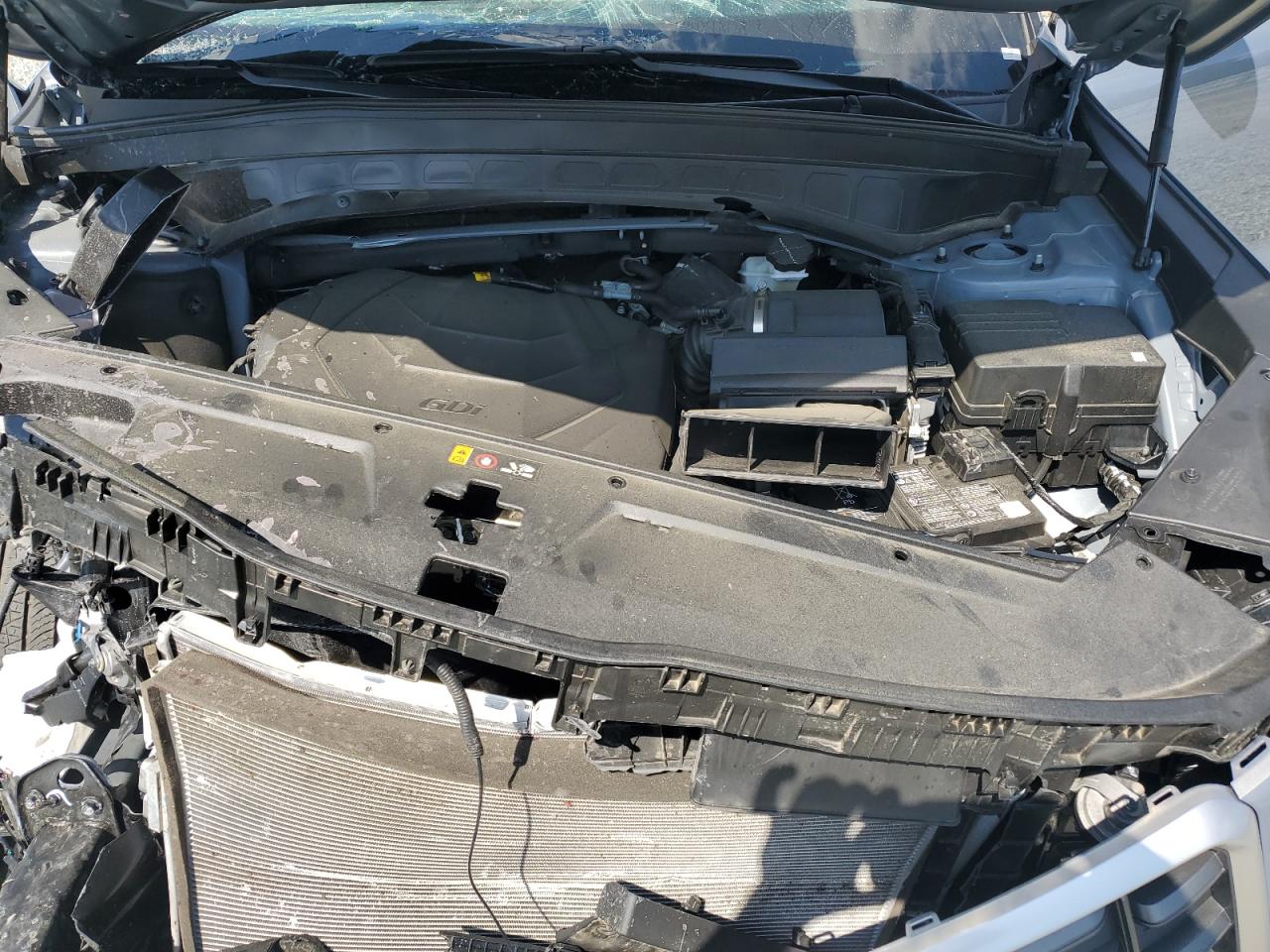 2024 Kia Telluride Sx VIN: 5XYP54GC0RG564181 Lot: 81130345